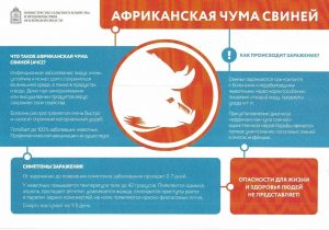 В Подмосковье, в том числе и в Раменском округе стартовал месячник «Летний вепрь»