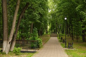 Расписание мероприятий в Раменском парке