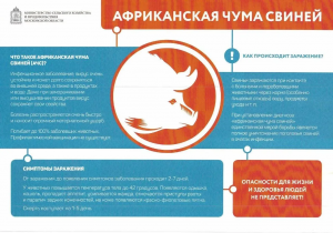 В Подмосковье, в том числе и в Раменском округе стартовал месячник «Летний вепрь»