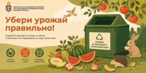 В Раменском округе пройдёт экологическая акция