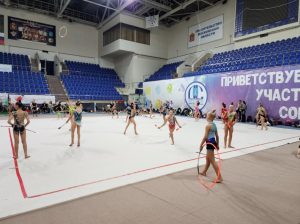 соревнования Московской области по художественной гимнастике в Раменском