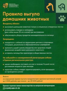 В Раменском округе действуют правила выгула домашних животных