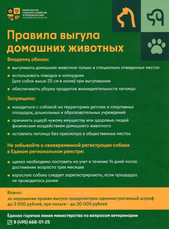 В Раменском округе действуют правила выгула домашних животных