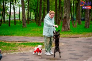 На территории Раменского округа запланировано проведение выездных вакцинаций